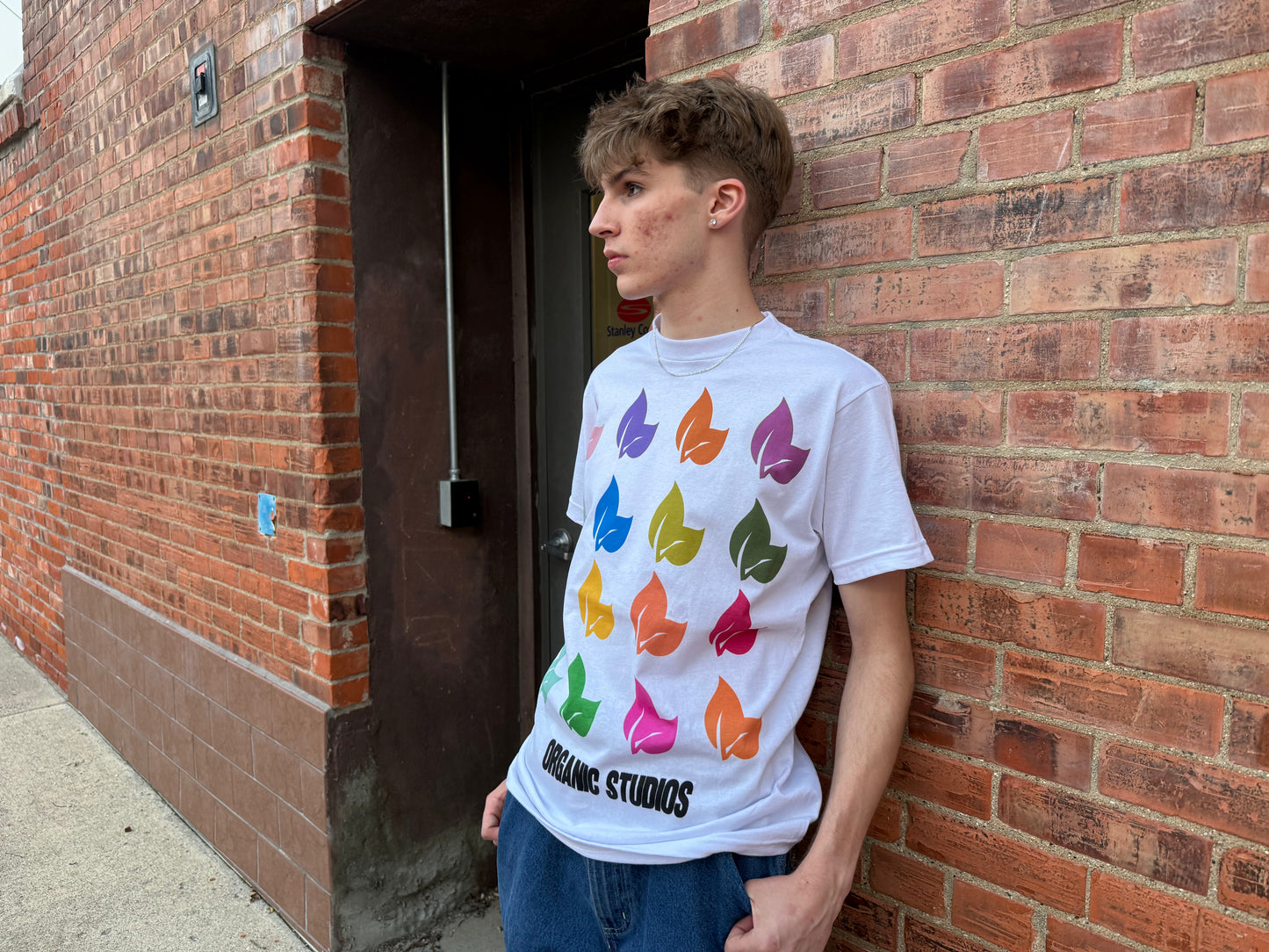 Organic Tee #2